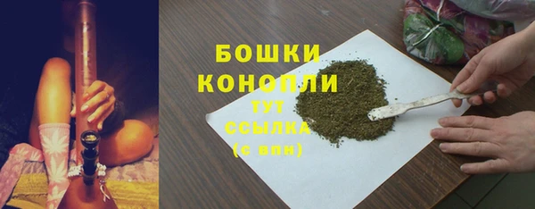 mdpv Богородицк