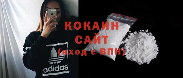 mdpv Богородицк