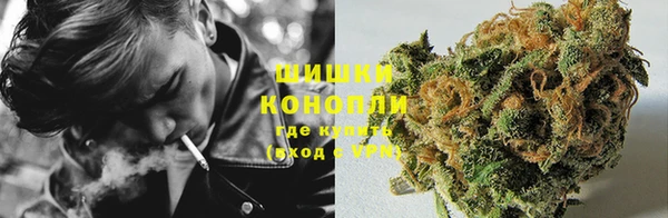 эйфоретик Богородск